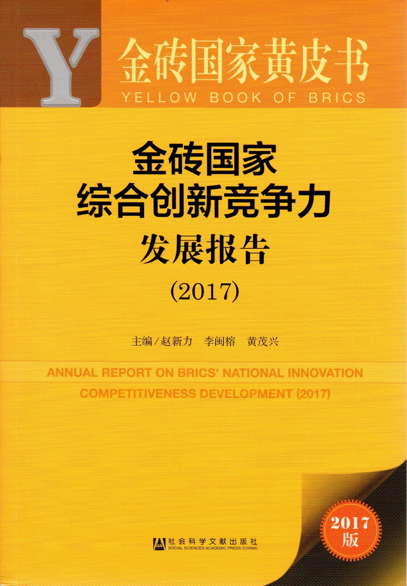 啊啊啊往里插使劲视频金砖国家综合创新竞争力发展报告（2017）